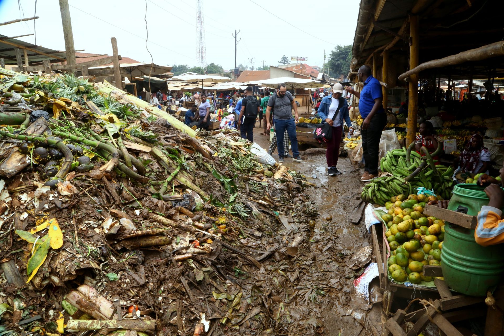 Photo courtesy of Landmark Media