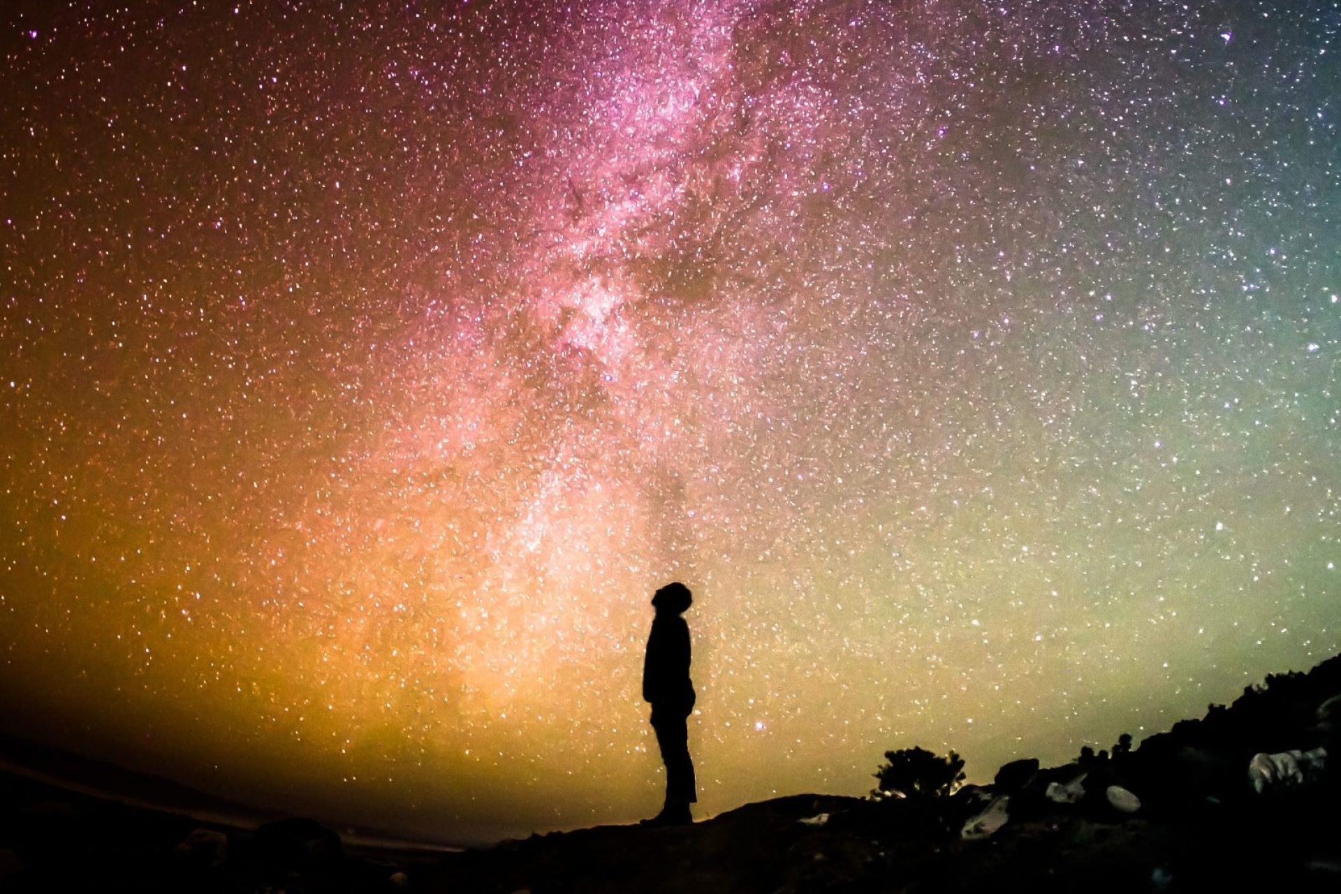 StockSnap_Y8CKB0O8C2-e1547038865172