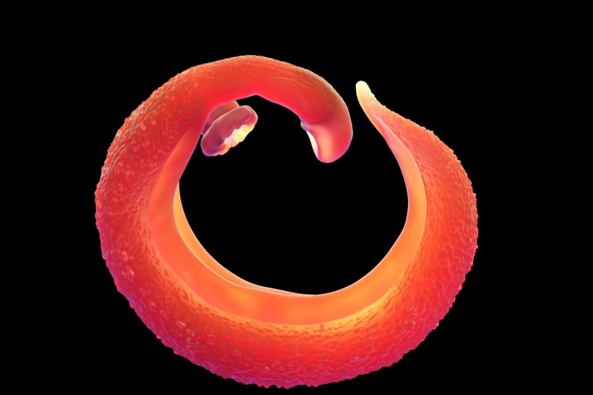 Story 3 - Investigating the Efficacy of Traditional Ghanaian Medicines