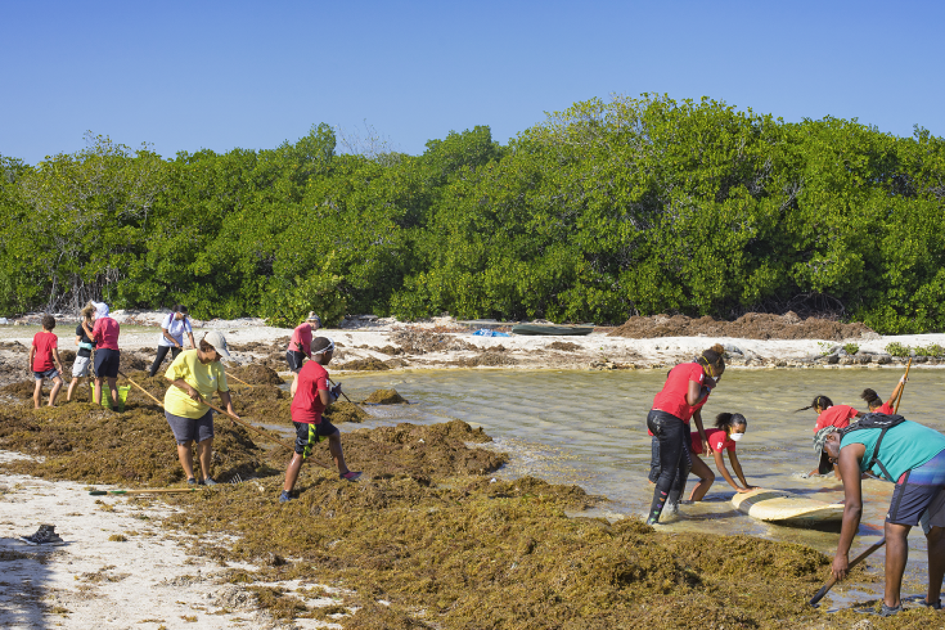 iStock-1161045602 resized