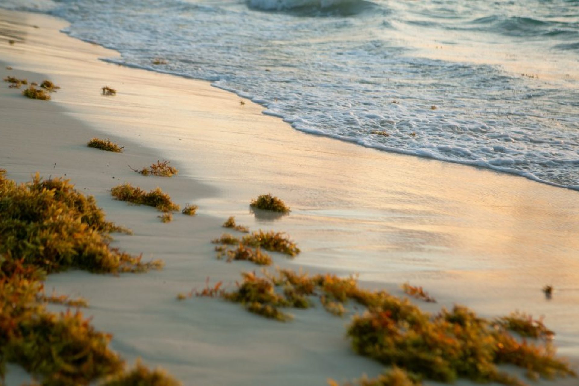 thor-tryggvason-eJySgLy2xTI-unsplash